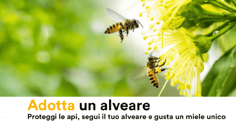 Adotta un alveare con 3Bee: salverai le api e gusterai il loro miele!