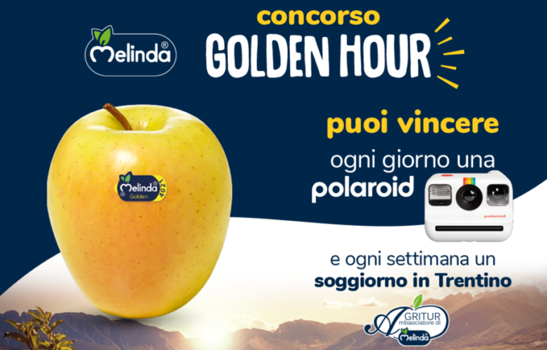 Concorso Melinda Gonden Hour