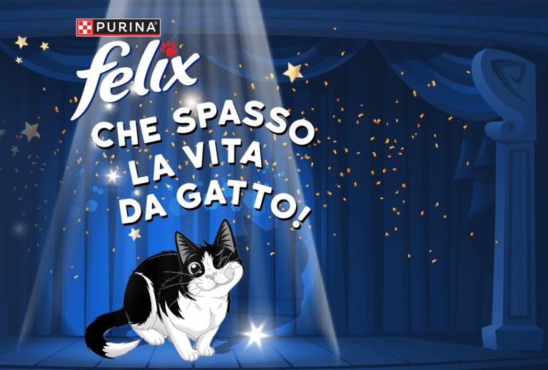 Concorso gratuito Felix: Vinci un giradischi Sony e abbonamenti Spotify!